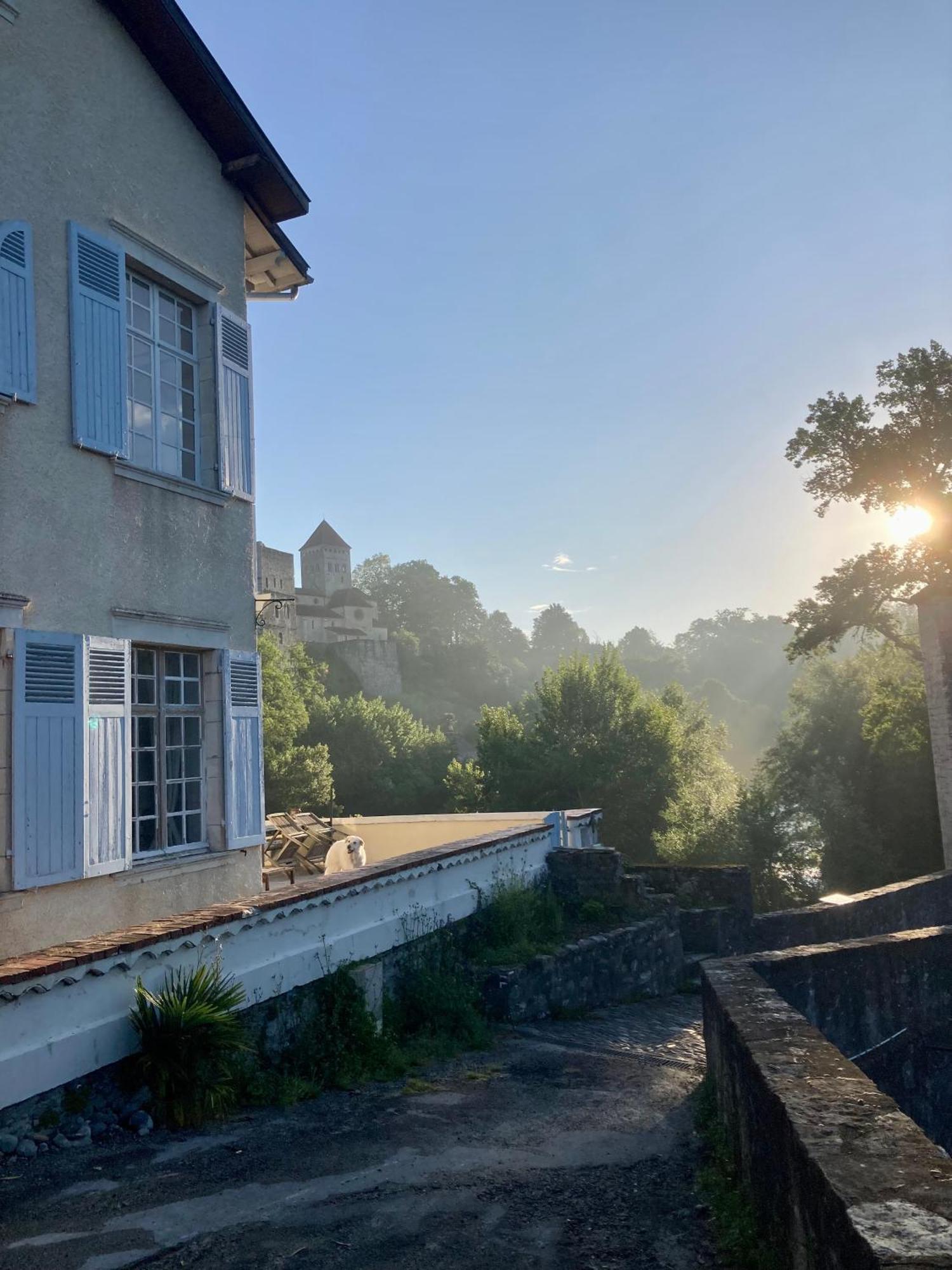 Maison Du Gave Sauveterre-de-Bearn ภายนอก รูปภาพ